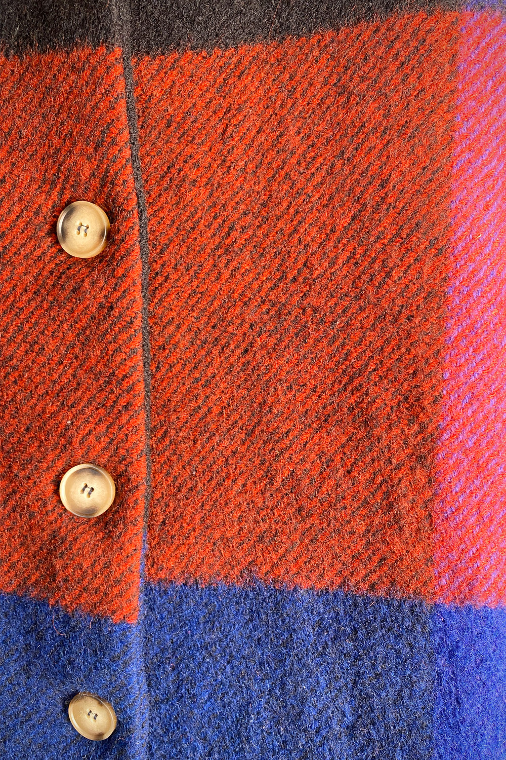 Ladybug